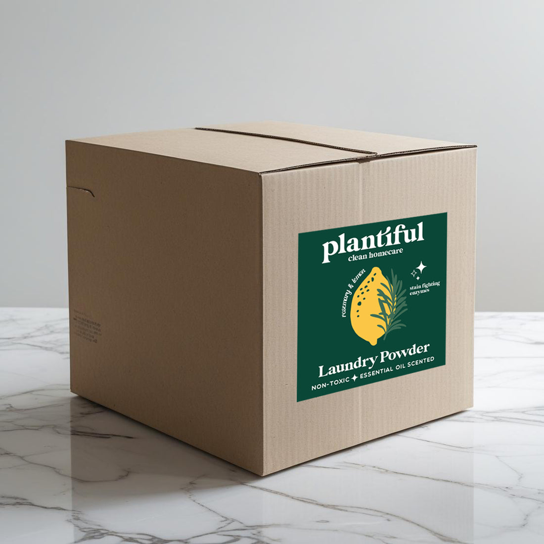 Bulk Laundry Powder 5 Gallon