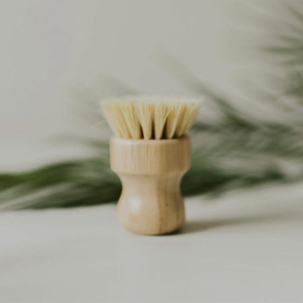 Bamboo Dish Brush